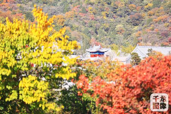 西山国家森林公园&nbsp;千龙网记者 陈健男 摄