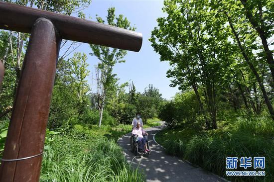 市民在北京市西城区“广阳谷”城市森林内游玩（6月10日摄）。新华社记者 鞠焕宗 摄