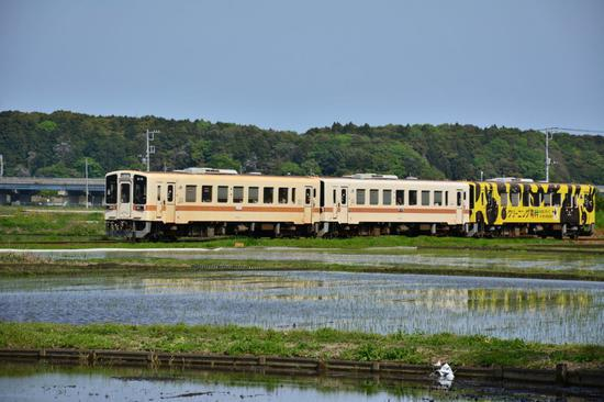 去年夏天，木田探访茨城县那珂市，考虑迁居于此。受访者供图