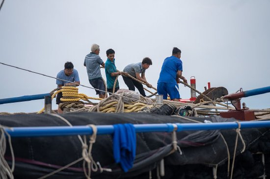2023年7月16日，海南文昌清澜港，渔船民在抛锚，固定渔船。