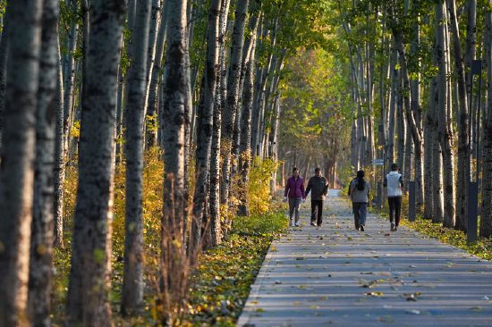 市民在北京市朝阳区的朝阳绿道上散步休闲(2025年11月14日摄)。新华社记者 鞠焕宗 摄