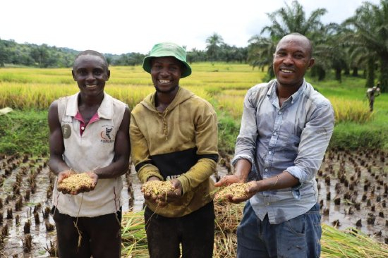 　　3月25日，在布隆迪布琼布拉省姆潘达县，当地农业技术员麦乐斯（右）与附近农户们手捧刚刚收获的稻粒。新华社记者 鞠银河 摄