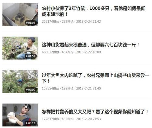 华农兄弟早期视频