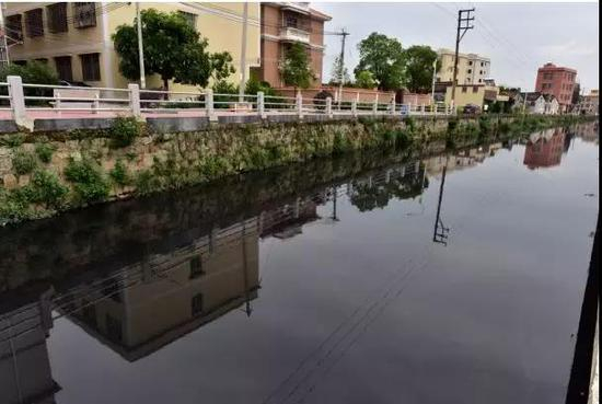 汕头市潮阳区练北大坑水体严重黑臭