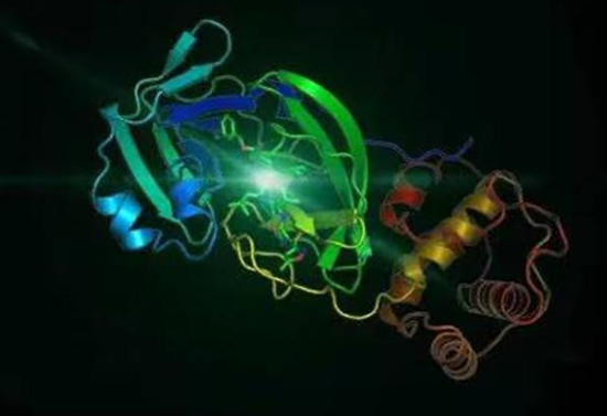 ↑2019-nCoV冠状病毒3CL水解酶（Mpro）的高分率晶体结构。 图据中科院上海药物所