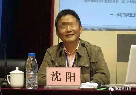 前北京大学中文系教授沈阳