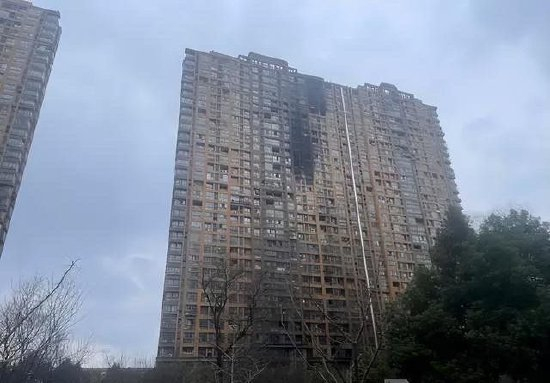 图片来源于红星新闻