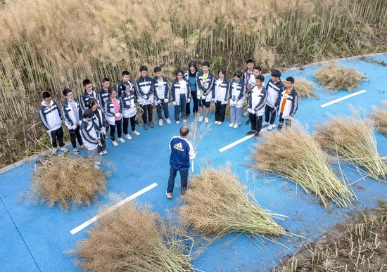 　　↑资料图。4月25日，四川眉山市彭山区组织彭山一中部分学生在观音街道龙门桥社区的一片油菜地里开展劳动教育实践课。