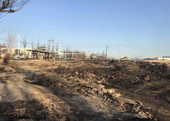 梅家营外的荒林里，杂草燃尽。澎湃新闻记者 袁璐 图