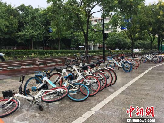 图为：被台风吹倒的共享单车。　钱晨菲 摄