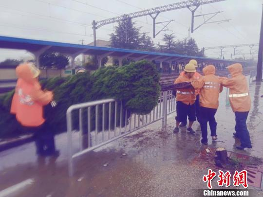 图为铁路职工清理倾倒的大树。　慕岩 摄