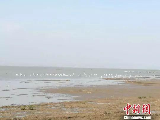 ▲黄旗海
