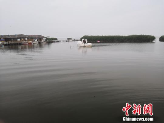 图为乌梁素海。　于晓 摄
