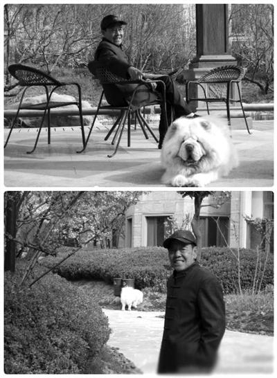 　　图为2012年单田芳在位于东四环的居住小区与爱犬遛弯。昨日新京报记者前往该小区探访，保安称这几年很少见单老下楼散步，其邻居也称入住来从未见过单老，离世的消息也是从新闻得知，表示非常痛心。
