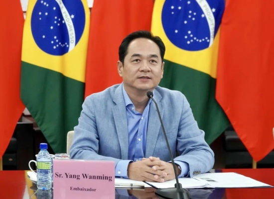 　杨万明资料图。图源：驻巴西大使馆网站