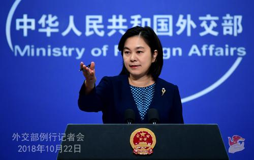 外交部发言人华春莹