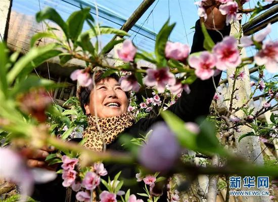 新华社记者 杨世尧 摄 图片来源：新华网