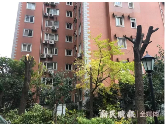 新民晚报记者 季晟祯 摄