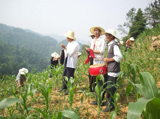 川北薅草锣鼓