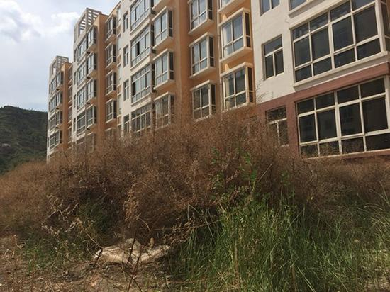由于长期闲置，“温馨家园”小区内绿化带中杂草从生。澎湃新闻记者 王健 图