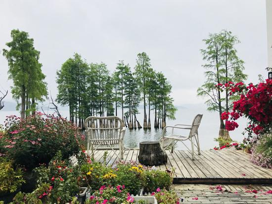 龙龛码头附近，一线海景客栈里的院落，距离洱海水面一步之遥。