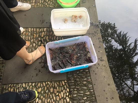 学生比赛钓小龙虾