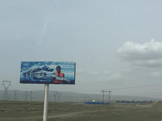 本文图均为 澎湃新闻记者 王灿 图