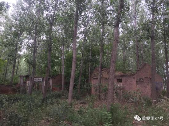 ▲6月27日，河南商丘夏邑县，残破的张玉玺老宅。&nbsp;&nbsp;&nbsp;&nbsp;新京报记者 尹亚飞 摄