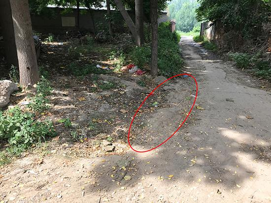 刘凤仙倒在家门口的路口。