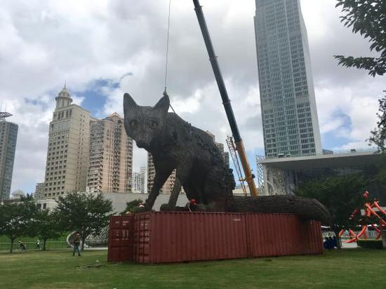 8月15日10时许，这只英国“大狐狸”的拆除工作正式启动。 澎湃新闻记者 栾晓娜 图
