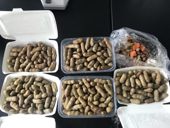 6份送检的样品