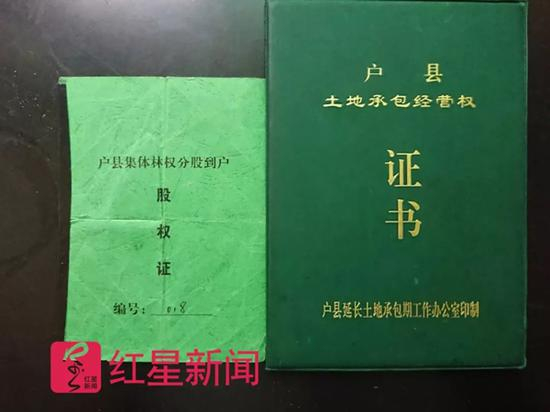 邹军红持有的股权证与林权证。 &nbsp;红星新闻 图