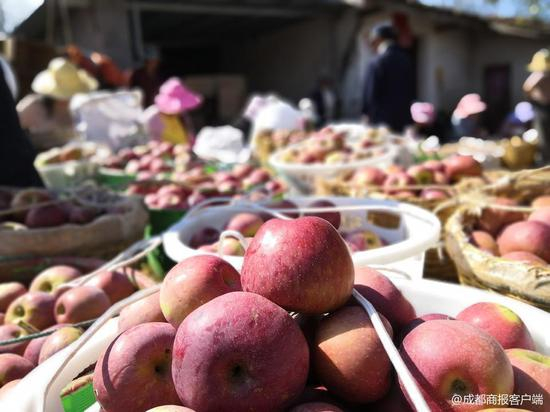 成都商报记者实地拍摄的正在包装的盐源苹果