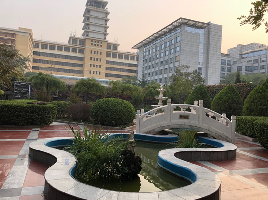 华荣公寓小区内的花园