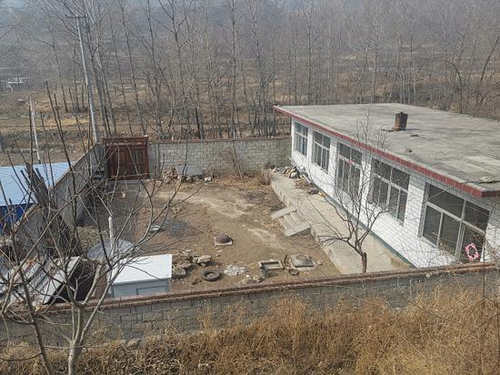 小菲家 澎湃新闻记者 朱莹 图