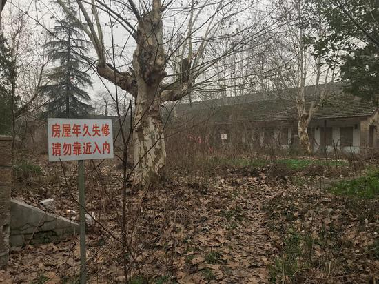  江南水泥厂旧址里年久失修的房子。落叶可没踝。