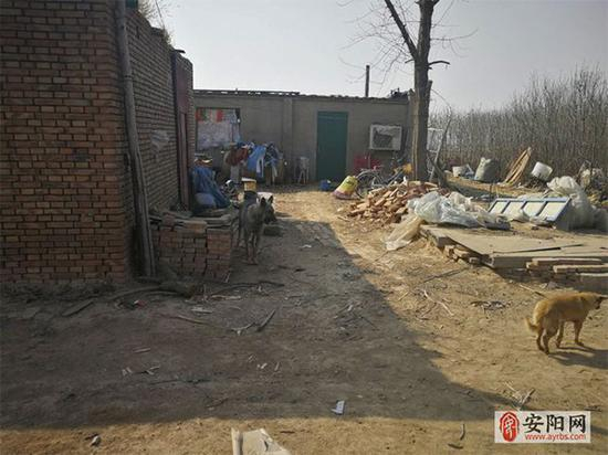 　绿色铁皮门后为田俊杰住的房间。 安阳网 图