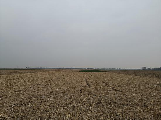 　4月9日，田俊杰住处附近的田地。