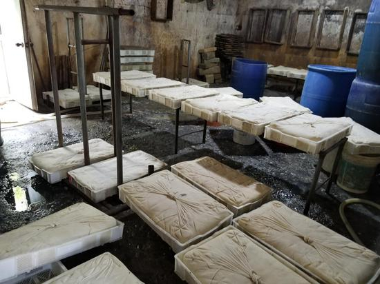 调查中发现的一个黑作坊，苍蝇乱飞，污水遍地。新京报记者 大路 摄