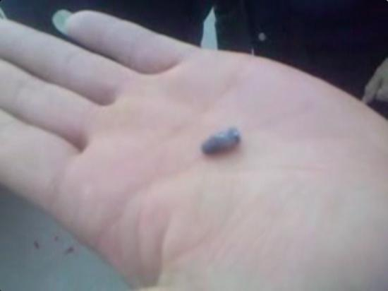 警察手中拿着弹头。视频截图