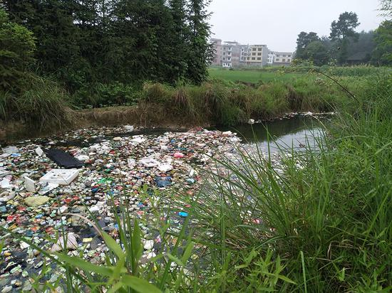 废弃农田大坑填埋生活垃圾&nbsp;&nbsp;受访者供图