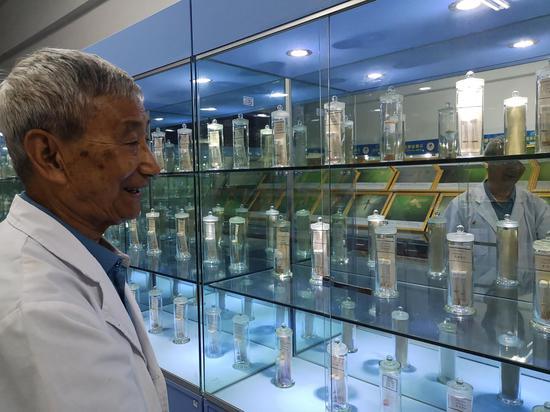 5月29日，董学书在云南省寄生虫病防治所的蚊子标本室。新京报记者 吴靖 摄