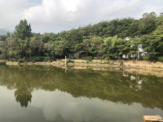 山张村，释永旭别墅对面的小水库。新京报记者 王文秋 摄