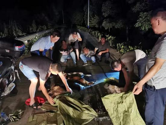 民警在毛里湖镇樟树村当场抓获利用毒镖射杀土狗的“偷狗贼”。湖南津市公安供图