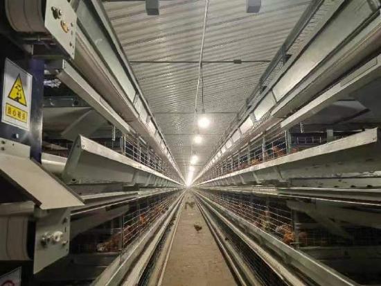 北京：延庆区良种蛋鸡产业集群建设项目北京康庄鑫盛养殖场落成