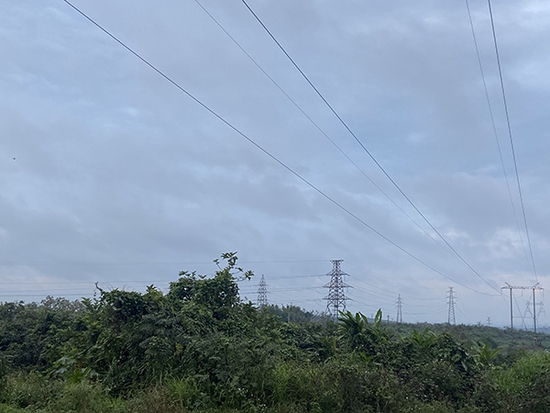 　　海南省澄迈县福山镇敦茶村委会洋道村民小组一景，徐怀玉实际经营的承包地就在远处。 本文图片均由 受访者 供图