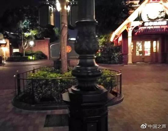 上海迪士尼度假区内的路灯灯柱。 王先生供图
