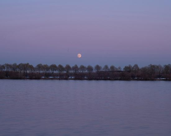 2019年11月，松花江面一片静寂。（除特殊标明，本文图片均来自 澎湃新闻记者 史阳琨）