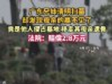 清明上山扫墓却发现母亲的墓不见了