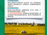 理响中国·聚焦“十五五”丨稳产增产、兴业富民 未来五年“三农”工作这样干！